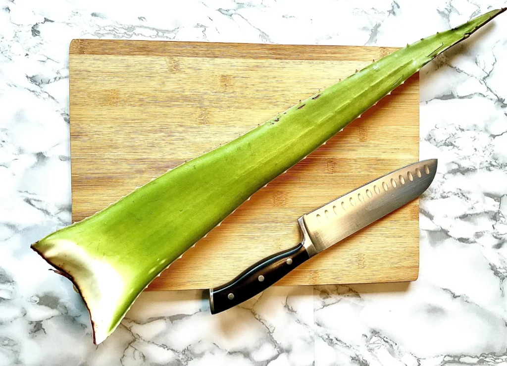 Feuille d'aloe vera, belle peau, acné, bienfaits, vivand glow
