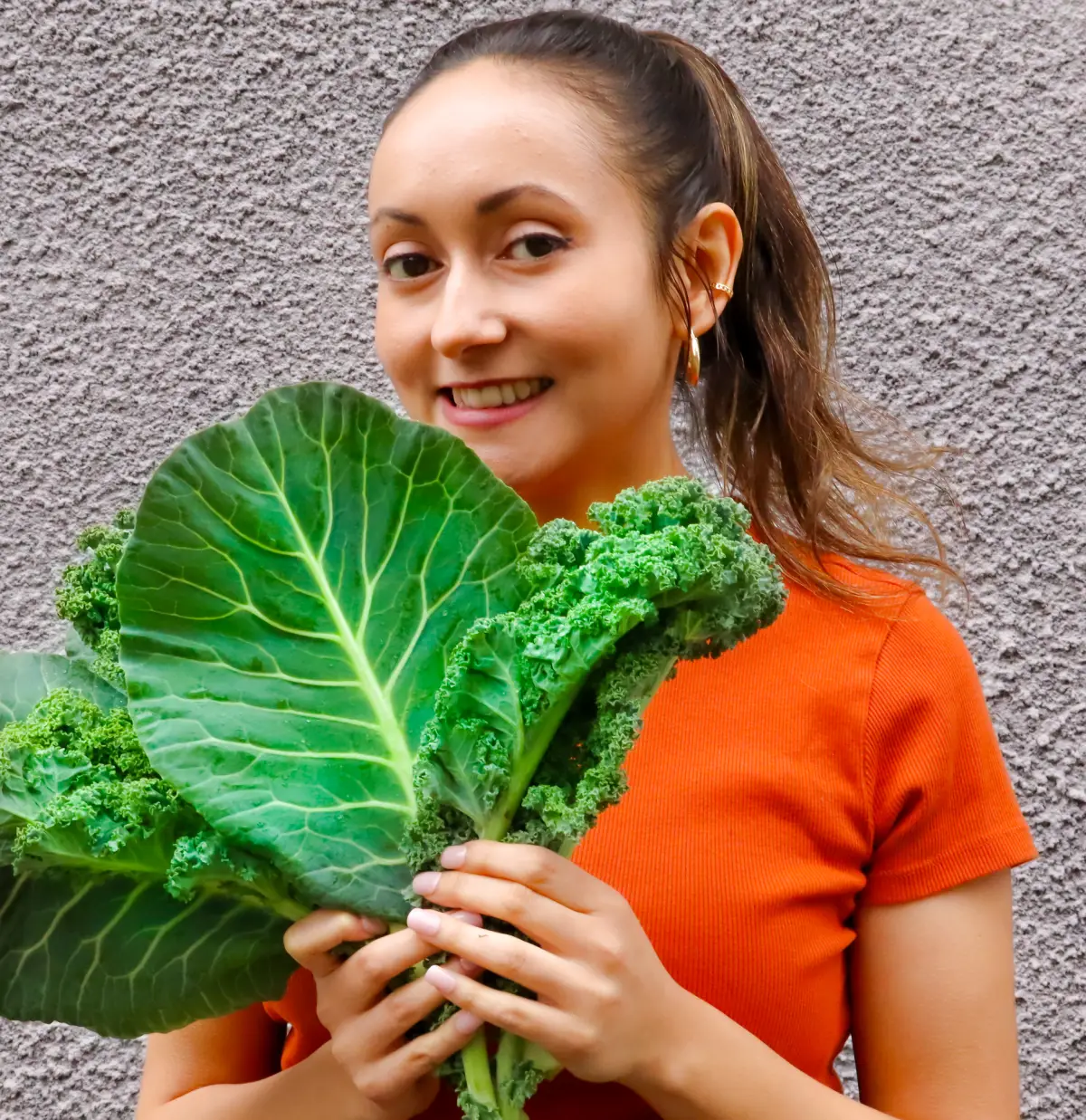 Légumes verts, saine alimentation, vivandglow