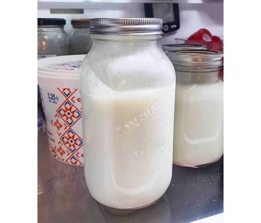 Produit laitier fermenté (1)